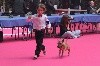  - International Dog show in Bourges 2017