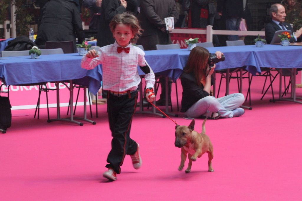 International Dog show in Bourges 2017